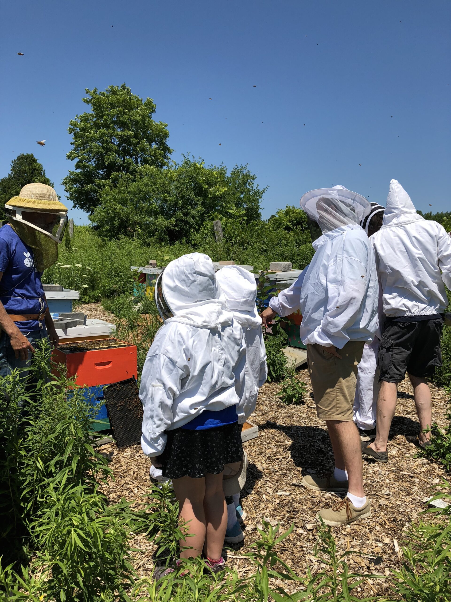 Tours & Hikes Headwaters Farm