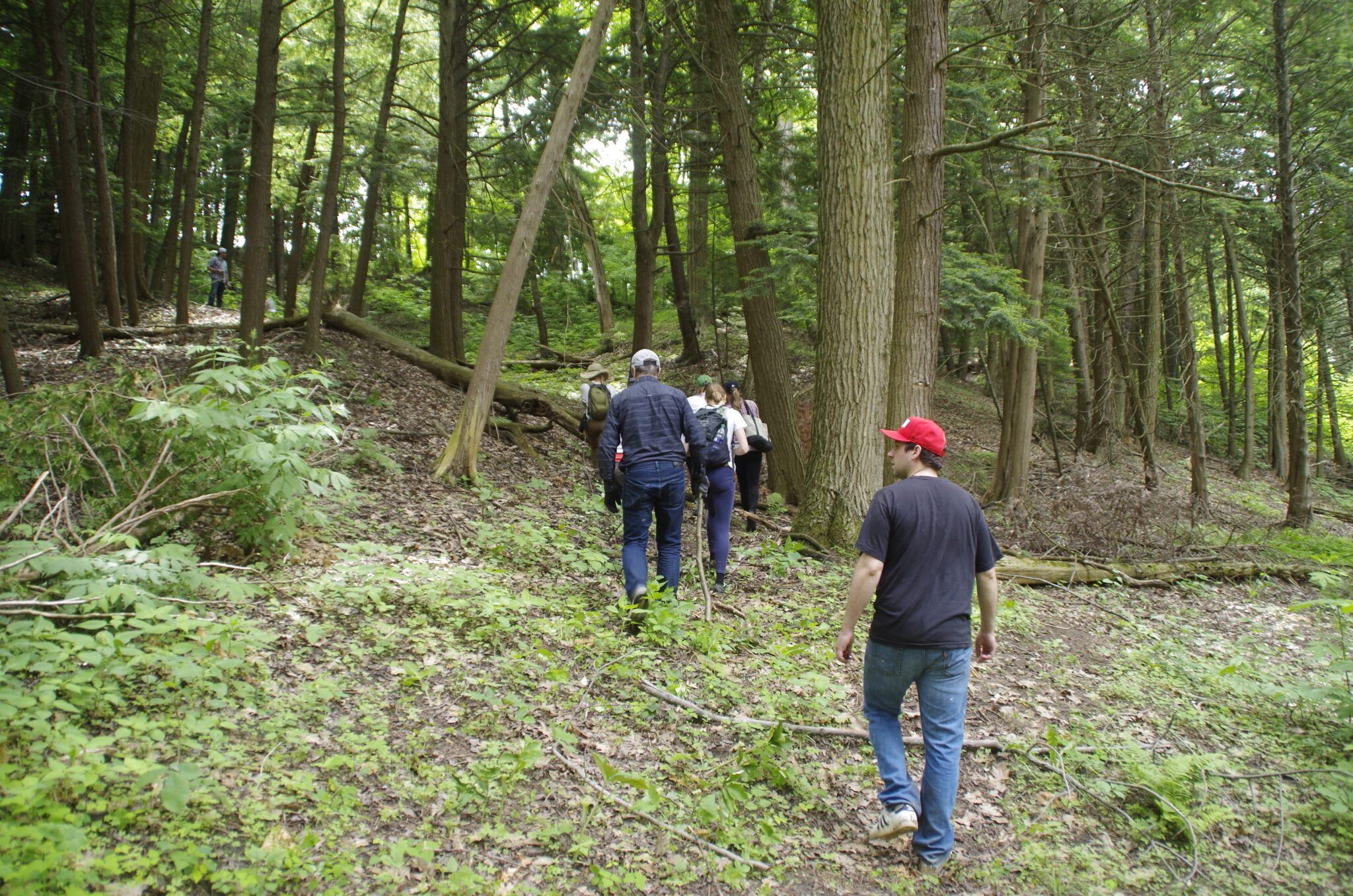 Tours & Hikes Headwaters Farm