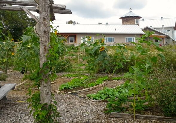 permaculture garden